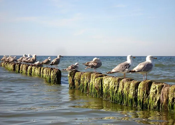 Ferienhaus Domki Anabell Przy Plarzy Sarbinowo